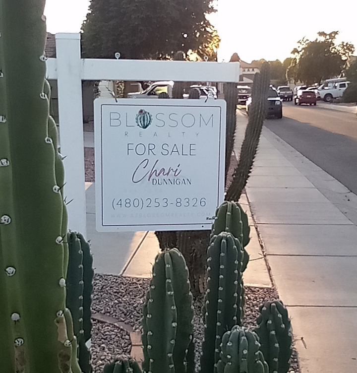Blossom Realty | 2990 N Litchfield Rd #10, Goodyear, AZ 85395, USA | Phone: (602) 466-9294