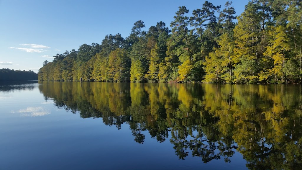 Bogue Chitto National Wildlife Refuge | Lock 1 Rd, Pearl River, LA 70452, USA | Phone: (985) 882-2000