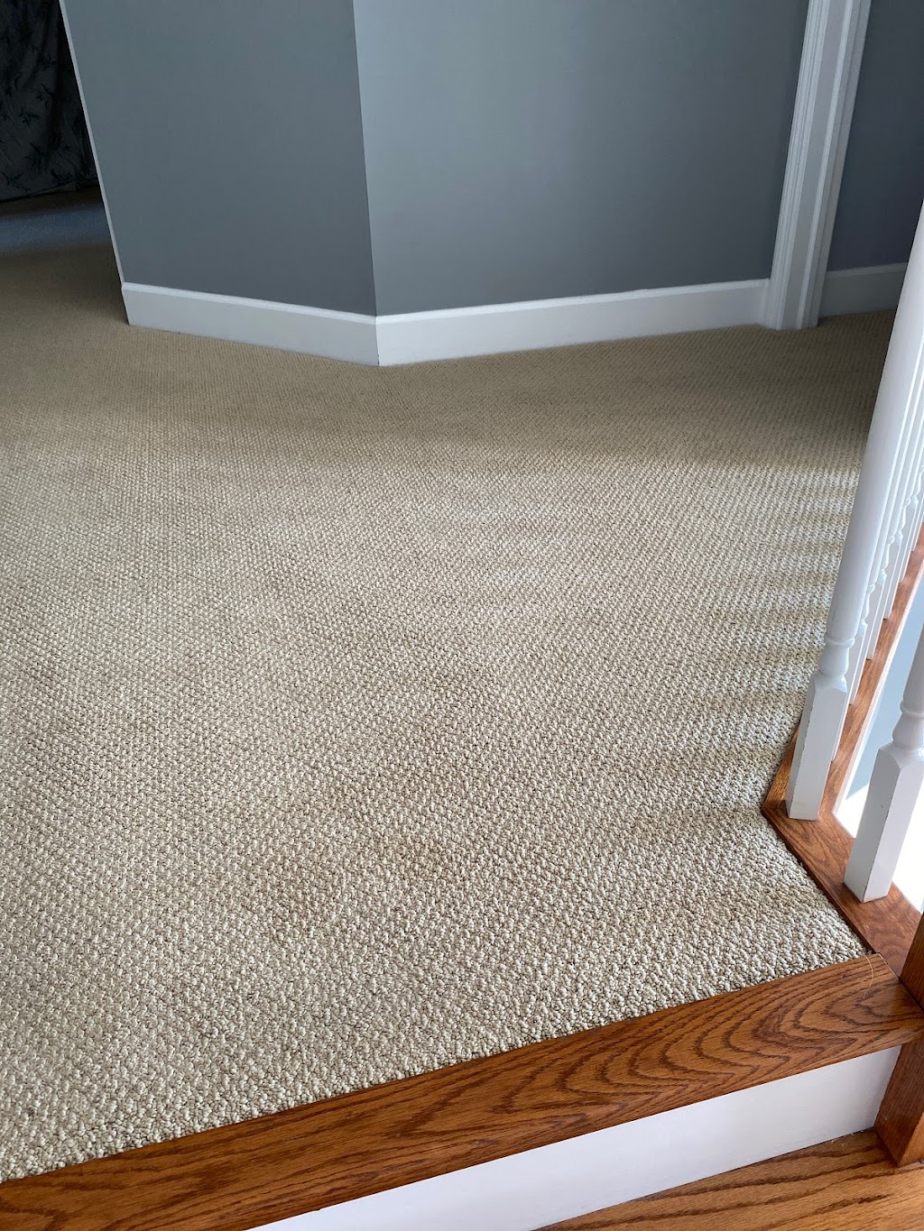 The Original Hoffman Carpet Cleaning | 16 Jupiter Ln Suite #6, Albany, NY 12205, USA | Phone: (518) 535-1167