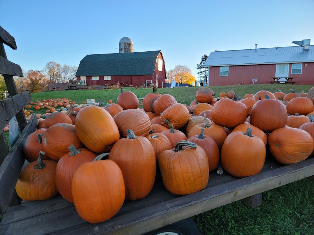 Pleasant Valley Orchard | 17325 Pleasant Valley Rd, Shafer, MN 55074, USA | Phone: (651) 257-9159