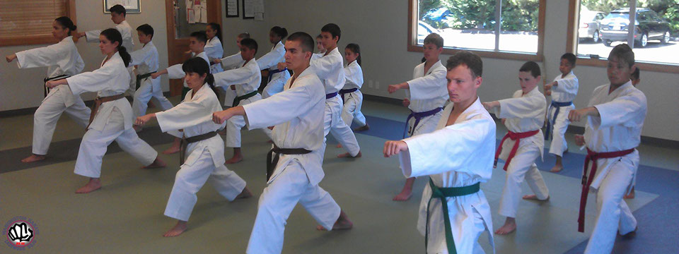 Washington Karate Lakewood Dojo | 5610 75th St W, Lakewood, WA 98499, USA | Phone: (253) 589-6924