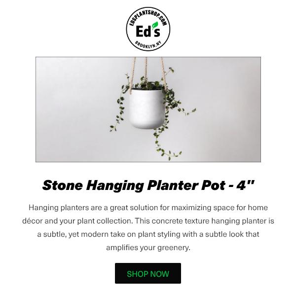 Eds Plant Shop | 174 Bogart St #207, Brooklyn, NY 11206, United States | Phone: (718) 407-4269