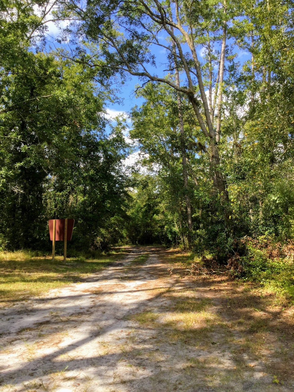 Four Creeks State Forest | 450946 FL-200, Callahan, FL 32011, USA | Phone: (904) 845-4933