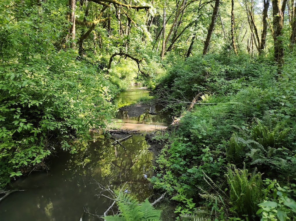 Tryon Creek State Natural Area | 11321 SW Terwilliger Blvd, Portland, OR 97219, USA | Phone: (800) 551-6949