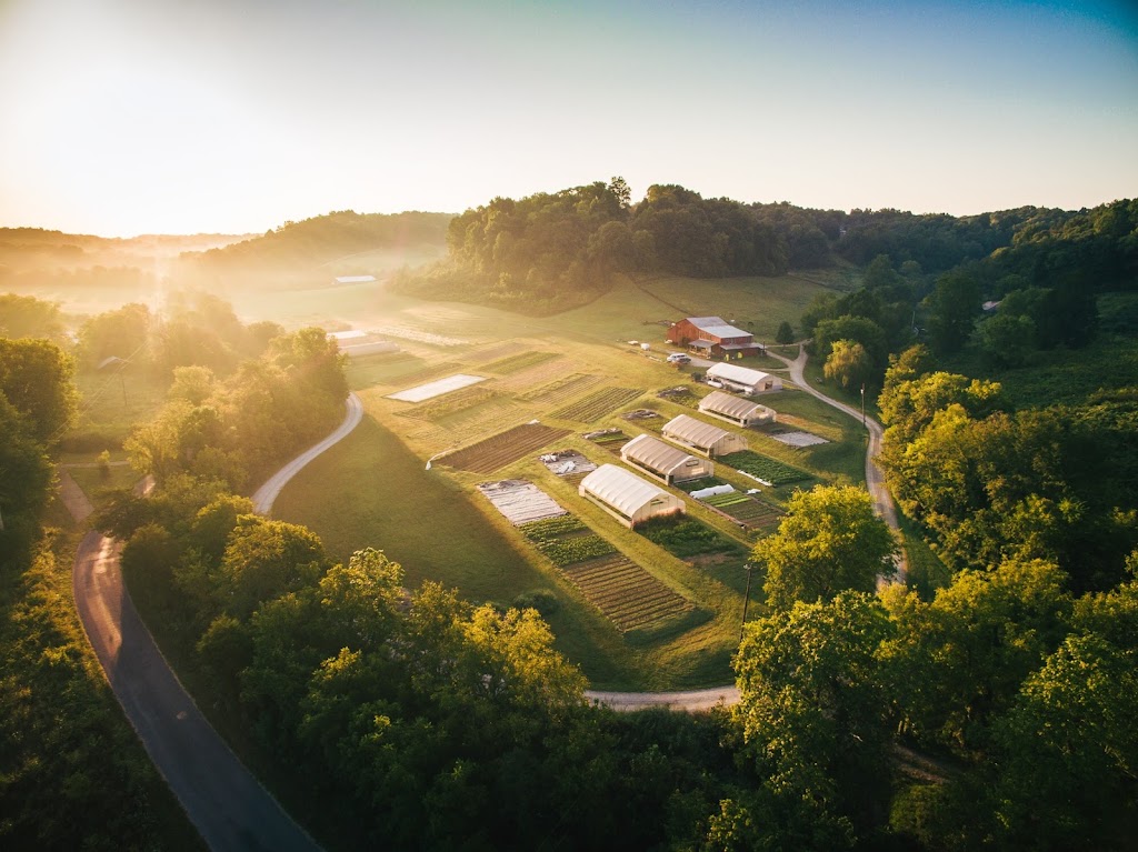 Bountiful Blessings Farm | 654 Dry Prong Rd, Williamsport, TN 38487, USA | Phone: (931) 583-2701