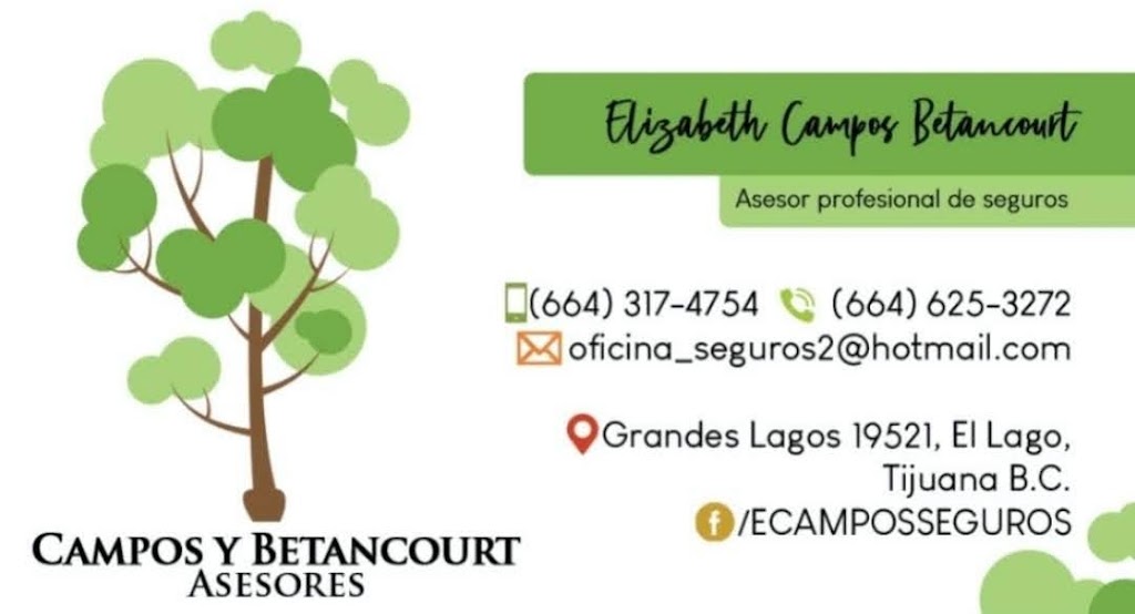 Campos Y Betancourt Asesores | Av. de los Grandes Lagos 19521, El Lago, 22210 Tijuana, B.C., Mexico | Phone: 664 317 4754