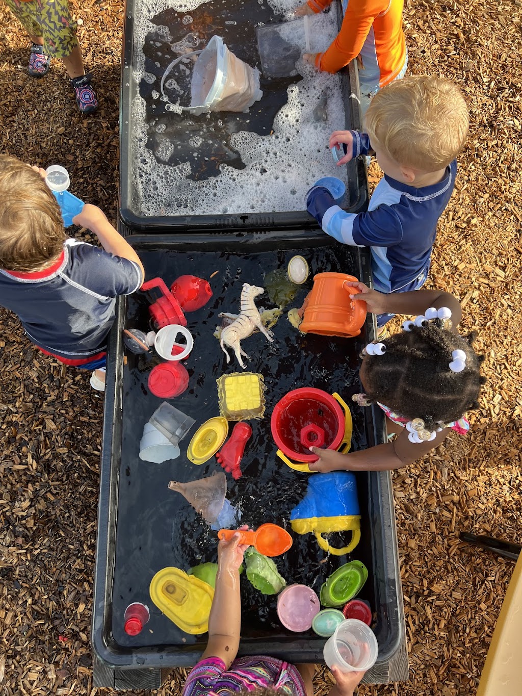 Baby Fox Academy LWR | 7041 Professional Pkwy E, Lakewood Ranch, FL 34240, USA | Phone: (941) 359-3699