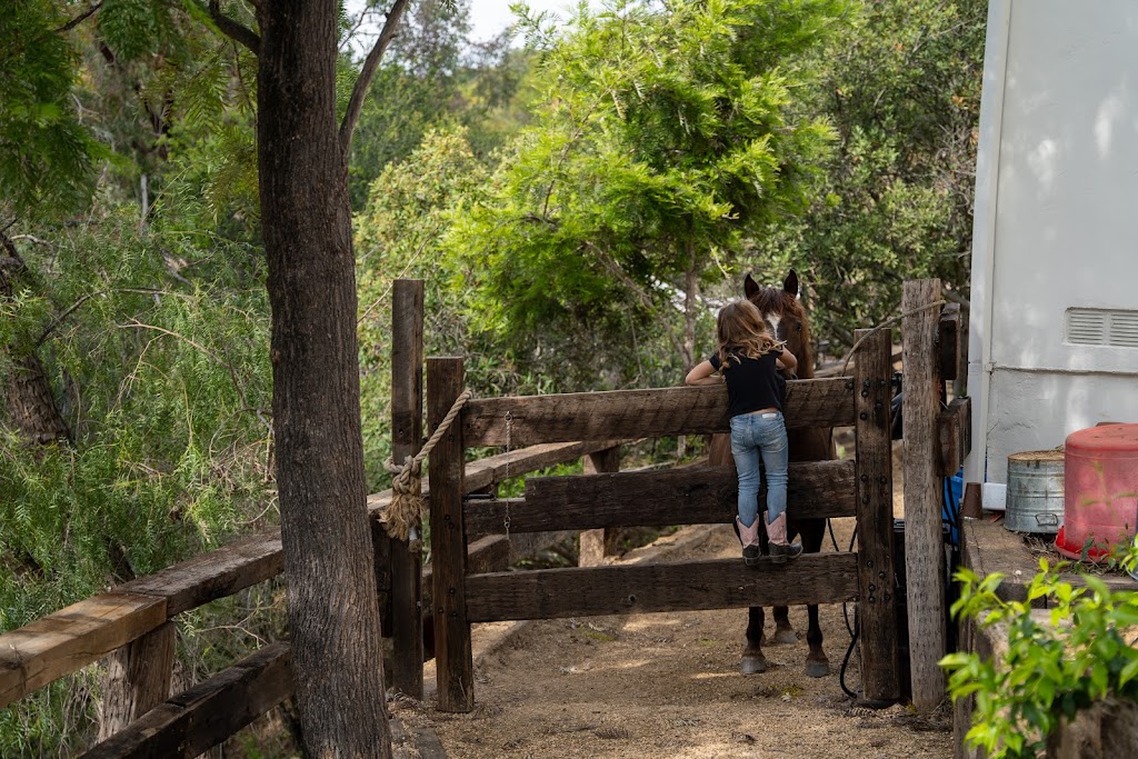 Mindful Mustang at Rugged Ranch | 1406 N Topanga Canyon Blvd, Topanga, CA 90290, USA | Phone: (310) 435-1034