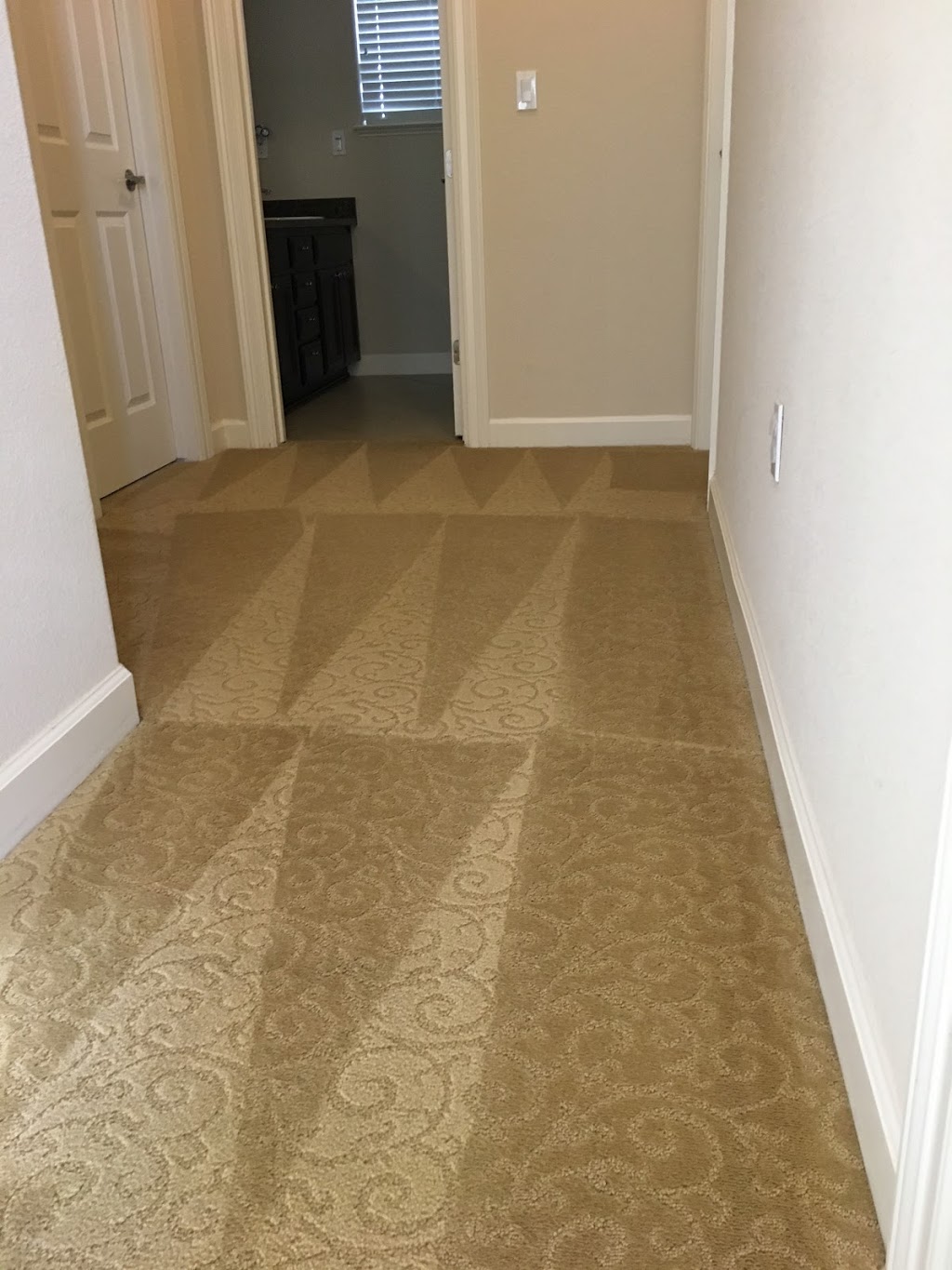 Roger Carpet Cleaning & Services | 3111 Maguire Way #206, Dublin, CA 94568 | Phone: (925) 895-4803