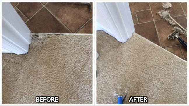 Above & Beyond Carpet Cleaning | 1361 S Main St, Wake Forest, NC 27587, USA | Phone: (919) 977-6647