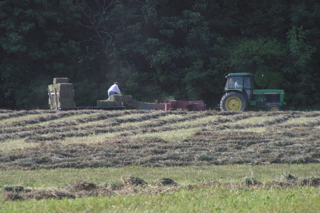 Stratford Ecological Center | 3083 Liberty Rd, Delaware, OH 43015, USA | Phone: (740) 363-2548