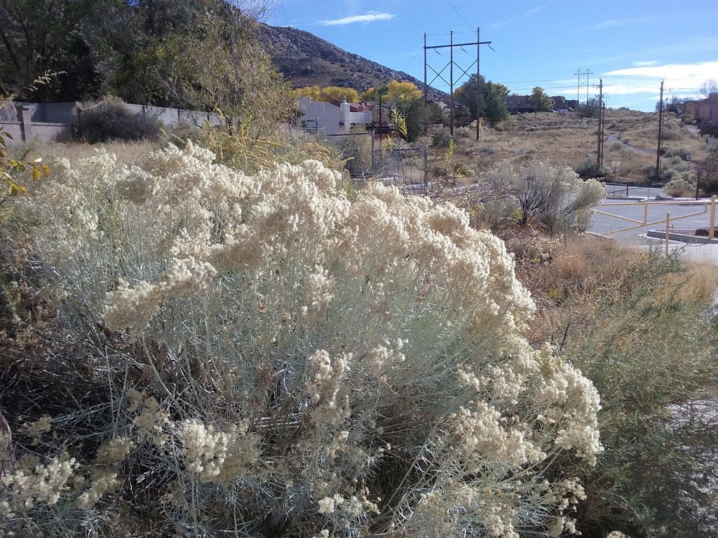 Casa Grande Linear Park | Albuquerque, NM 87111, USA | Phone: (505) 452-5200