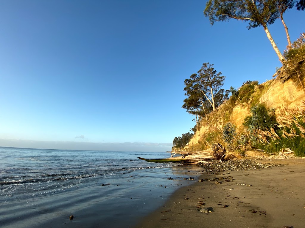 New Brighton State Beach | 1500 Park Ave, Capitola, CA 95010, USA | Phone: (831) 464-6329