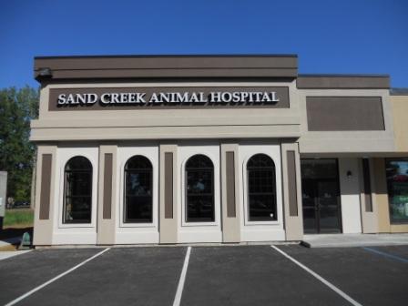 Sand Creek Animal Hospital | 130 Wolf Rd, Albany, NY 12205, USA | Phone: (518) 446-9171