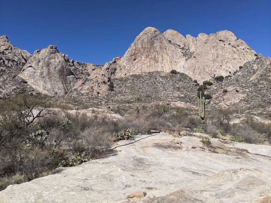 Coyote Mountains Wilderness Area | Tucson, AZ 85735, USA | Phone: (520) 258-7200