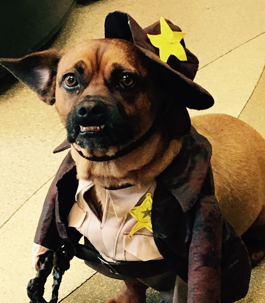 Baggett Dental | 11090 AL-25 Suite A, Calera, AL 35040, USA | Phone: (205) 668-1599