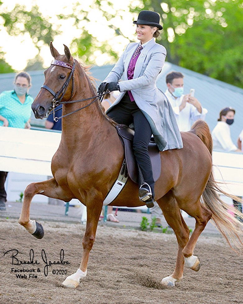 Singing Tree Stables | 3219 Highway 1694, Crestwood, KY 40014 | Phone: (502) 396-9815