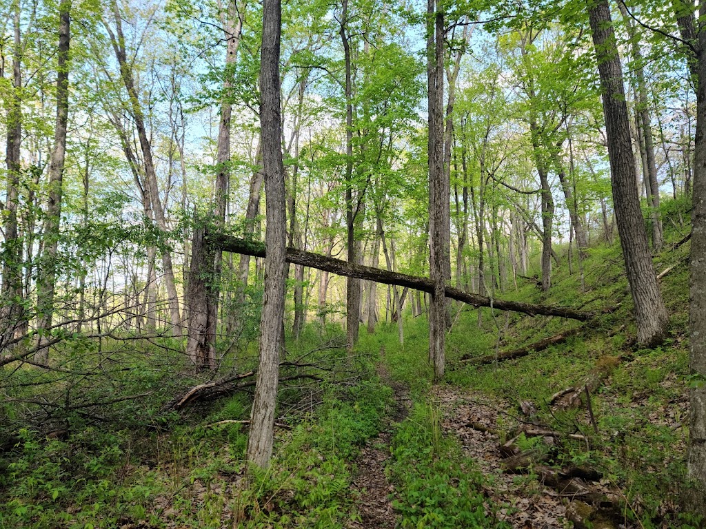 Walking Iron County Park | 6064 Beckman Rd, Mazomanie, WI 53560, USA | Phone: (608) 224-3730