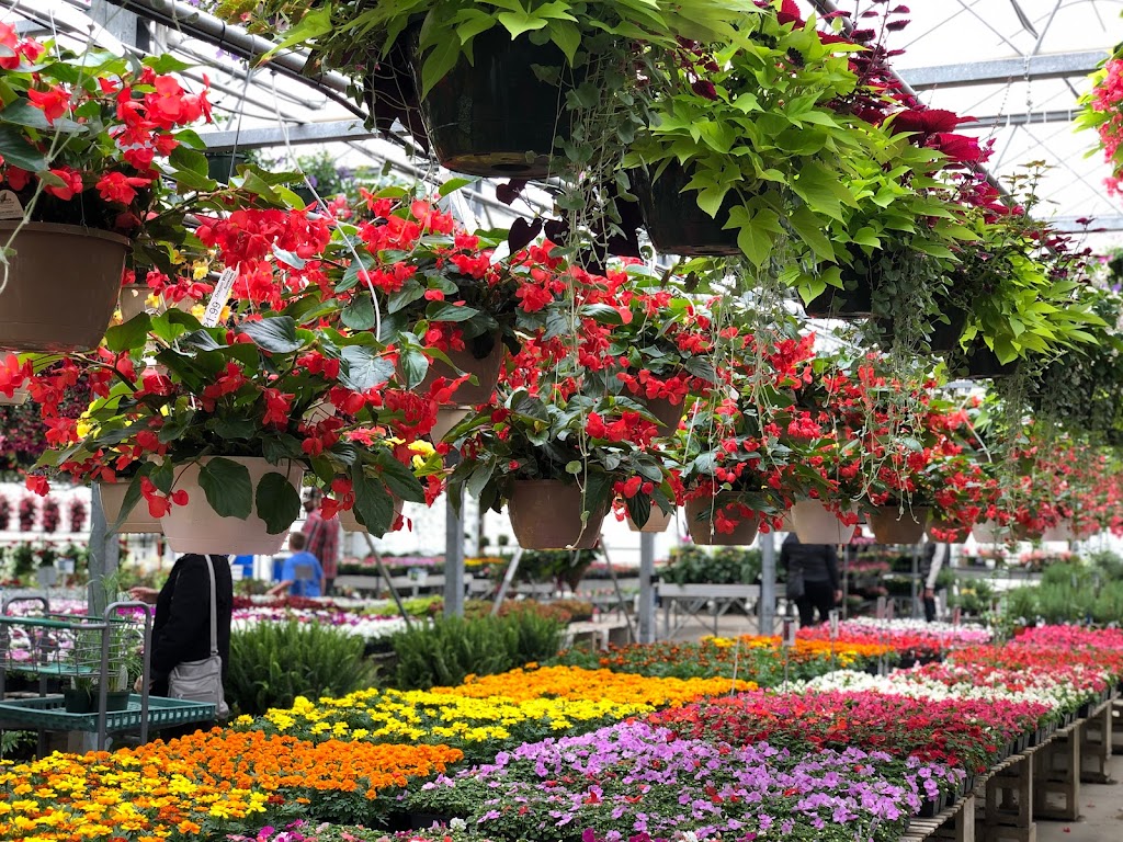 Fogler’s Greenhouse | 3979 N Rochester Rd, Rochester, MI 48306, USA | Phone: (248) 652-3614