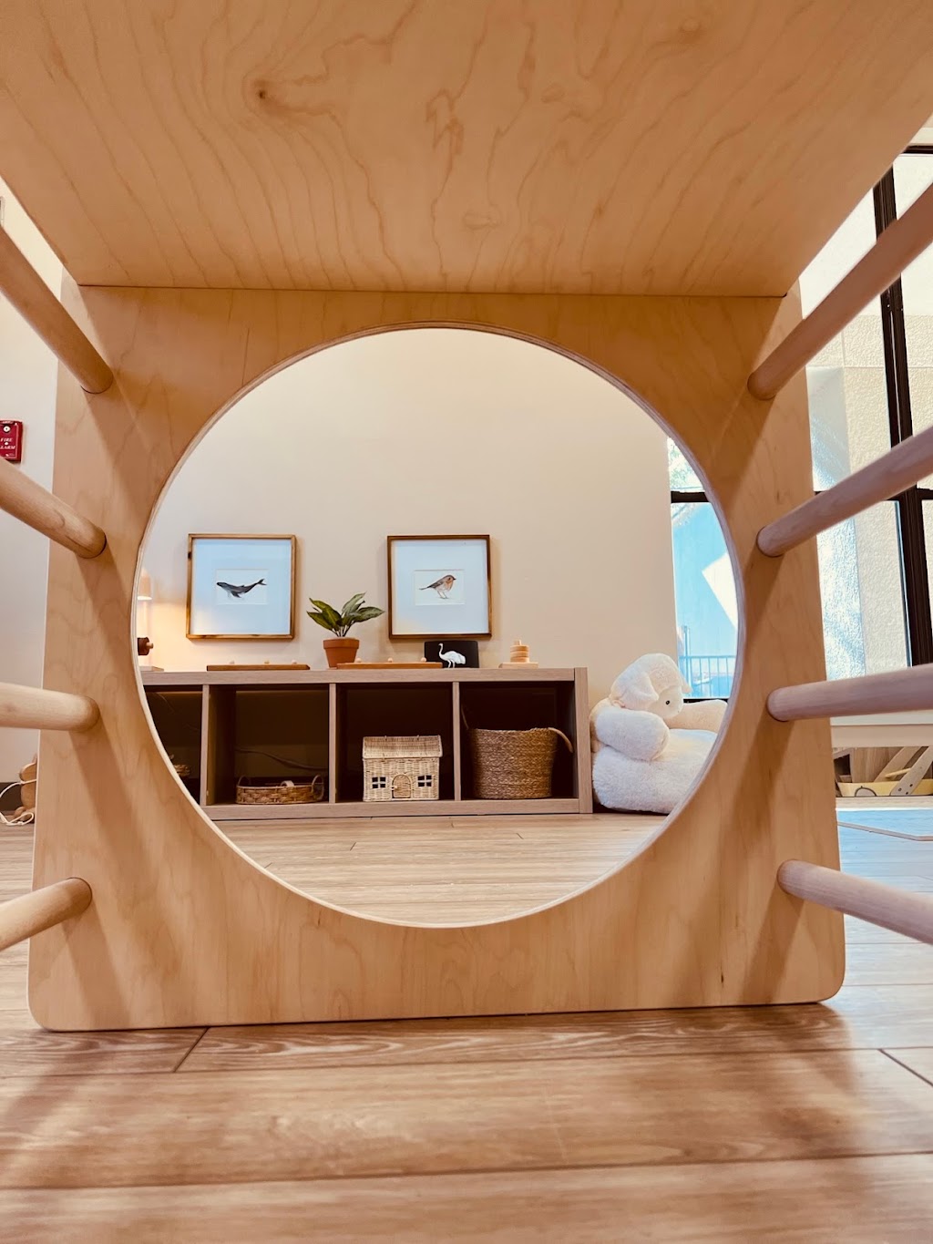 Asuncion Montessori House USA | 2709 Custer Rd, Plano, TX 75075, USA | Phone: (214) 749-8331