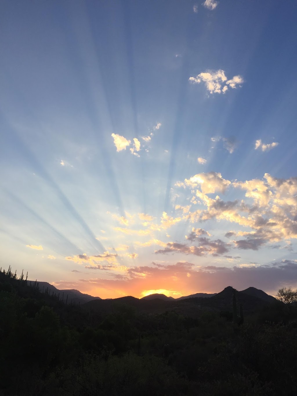 MTM Ranch Horseback Adventures | 43001 N Spur Cross Rd, Cave Creek, AZ 85331, USA | Phone: (480) 488-4538