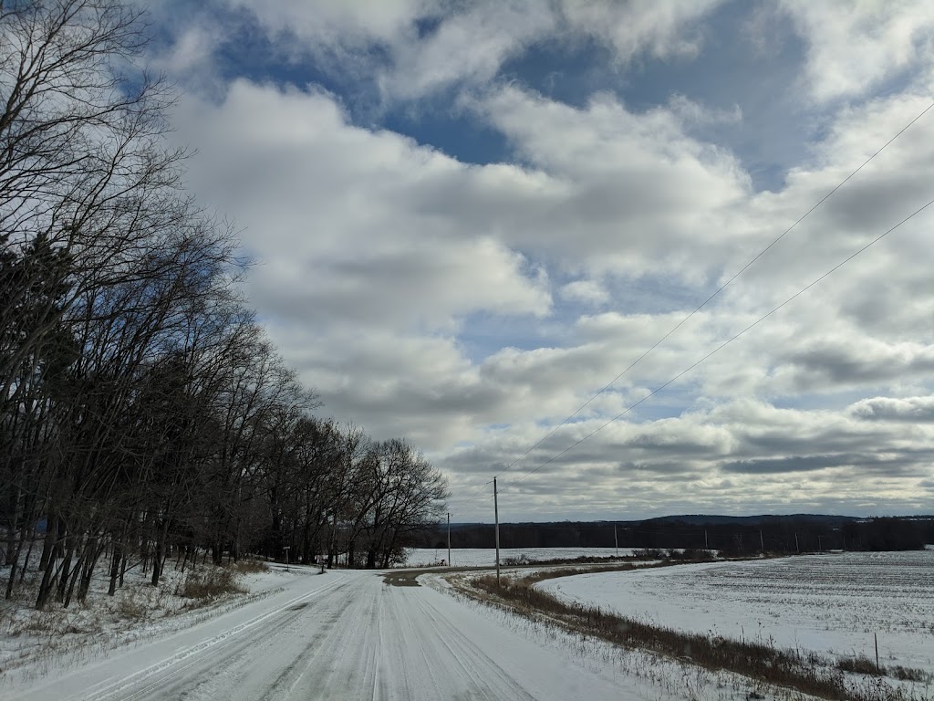 Baraboo River Floodplain Forest | Portage, WI 53901, USA | Phone: (888) 936-7463