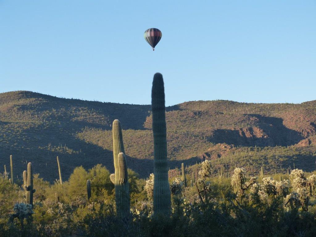 Fleur de Tucson Balloon Tours, LLC | Tucson, AZ 85701, USA | Phone: (520) 403-8547