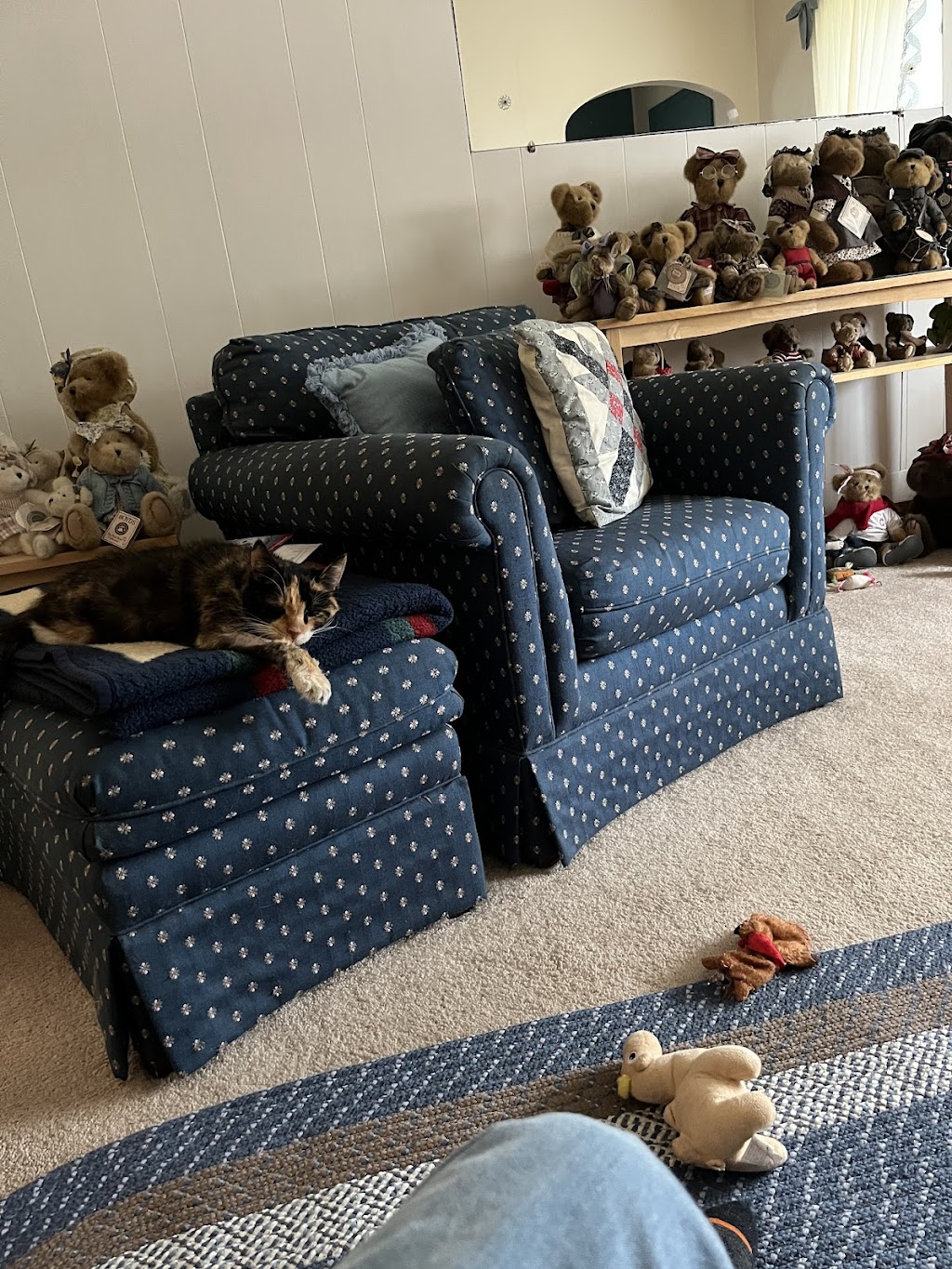 SPCA Serving Erie County | 300 Harlem Rd, West Seneca, NY 14224, USA | Phone: (716) 875-7360