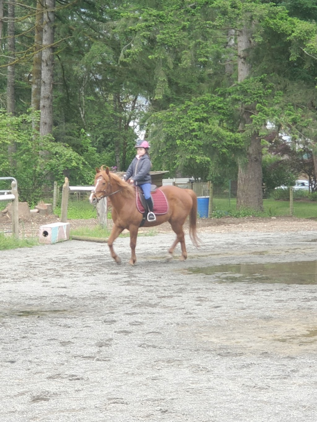 Grand Farms Riding Academy | 12604 189th Ave NW, Gig Harbor, WA 98329, USA | Phone: (360) 558-9469