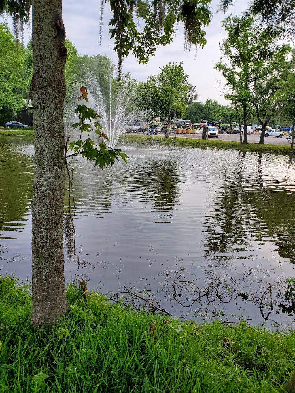 C.F. Produce Inc | 708 W Sam Allen Rd, Plant City, FL 33565, USA | Phone: (813) 659-3011