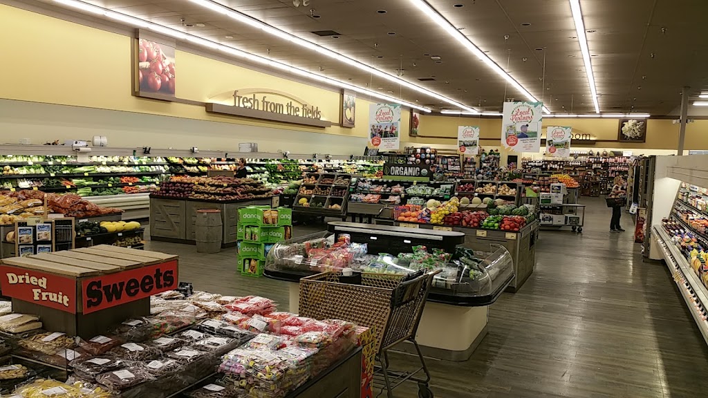 Glenn S. Katz, MD, FAAP | 31862 Coast Hwy Ste. 302, Laguna Beach, CA 92651, USA | Phone: (949) 499-4538