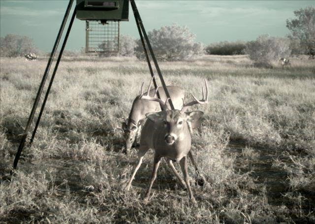 La Leyenda Ranch | Miles Rd, Tilden, TX 78072, USA | Phone: (713) 202-5348