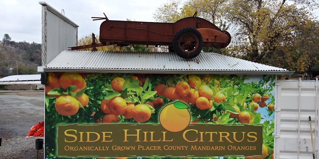 Side Hill Citrus Mandarins | 9200 CA-193, Newcastle, CA 95658 | Phone: (916) 343-1098