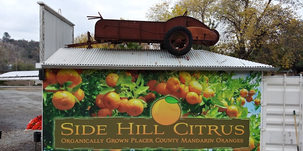 Side Hill Citrus Mandarins | 9200 CA-193, Newcastle, CA 95658, USA | Phone: (916) 343-1098