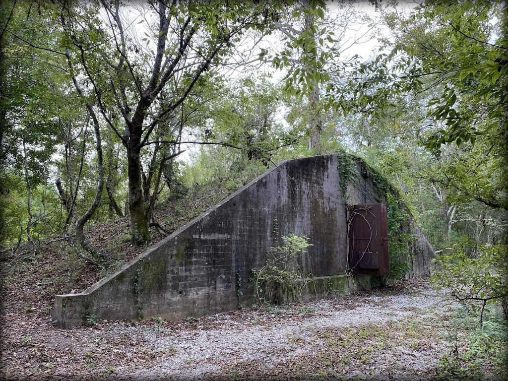 Woodlands Conservancy’s Woodlands Trail | 449 F Edward Hebert Blvd, Belle Chasse, LA 70037, USA | Phone: (504) 433-4000