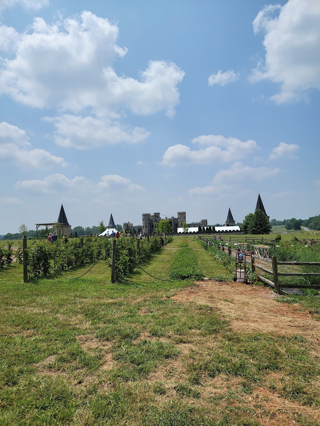 Castle Farms | Martin Castle, 230 Pisgah Pike, Versailles, KY 40383, USA | Phone: (859) 256-0322