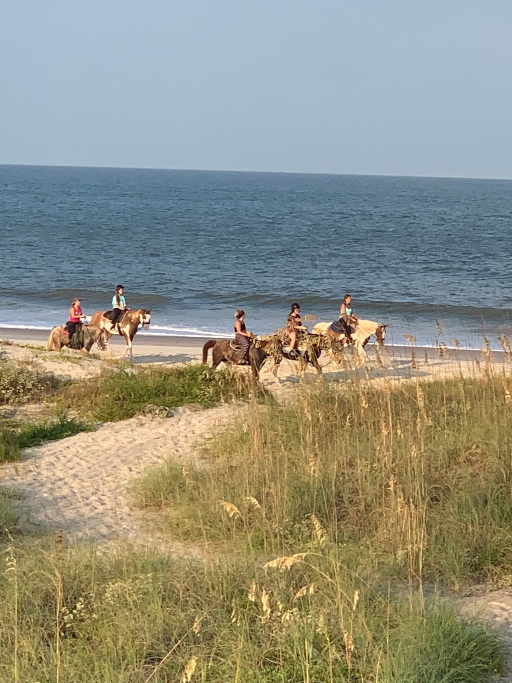 Amelia Island Horseback Riding | 4600 Peters Point Rd, Fernandina Beach, FL 32034, USA | Phone: (904) 753-1701