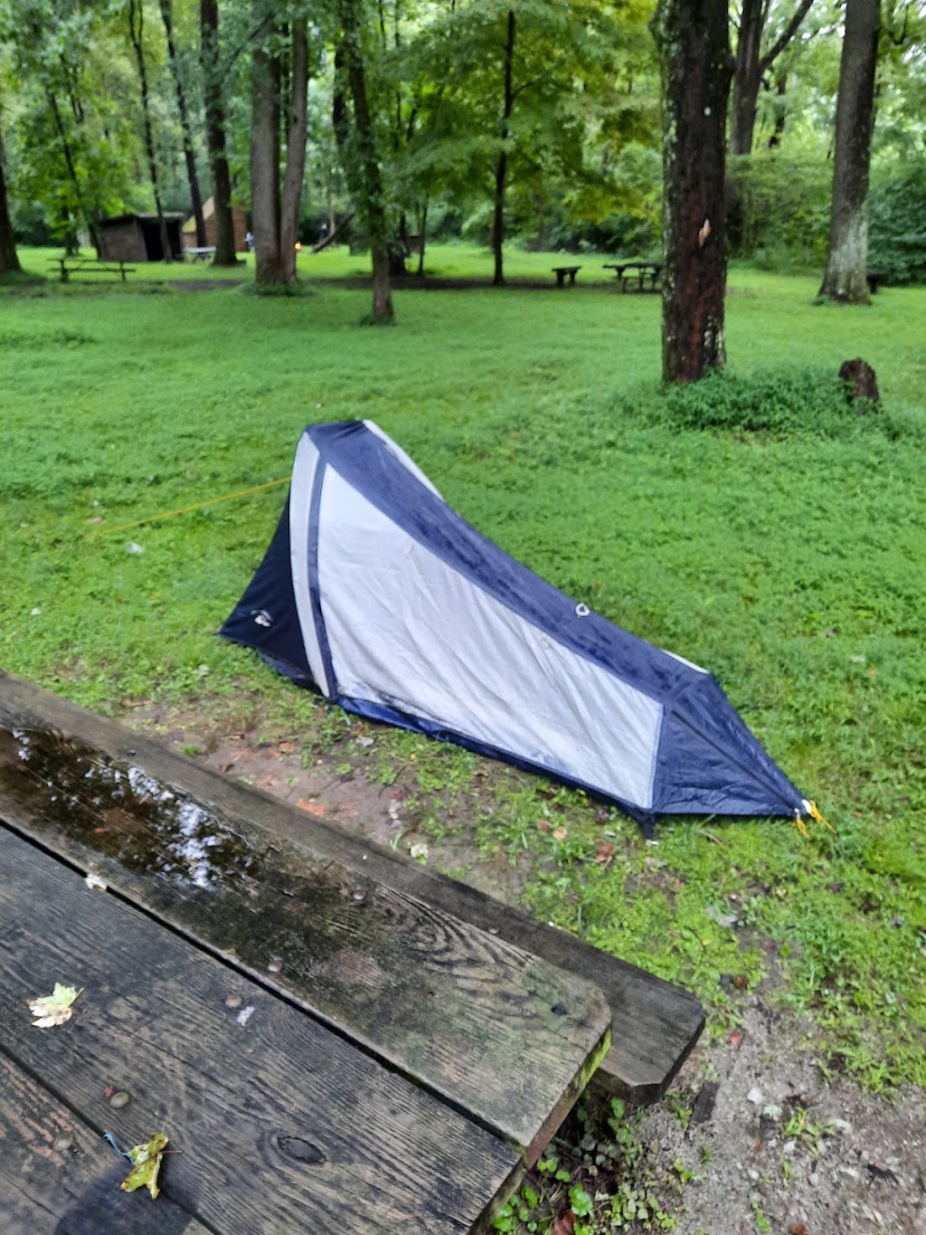 RoundBottom hiker-biker Campground | Great Allegheny Passage, Vanderbilt, PA 15486, USA | Phone: (724) 872-5586