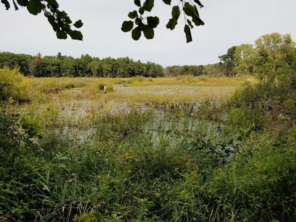 Hook Lake Bog State Natural Area | Oregon, WI 53575, USA | Phone: (888) 936-7463