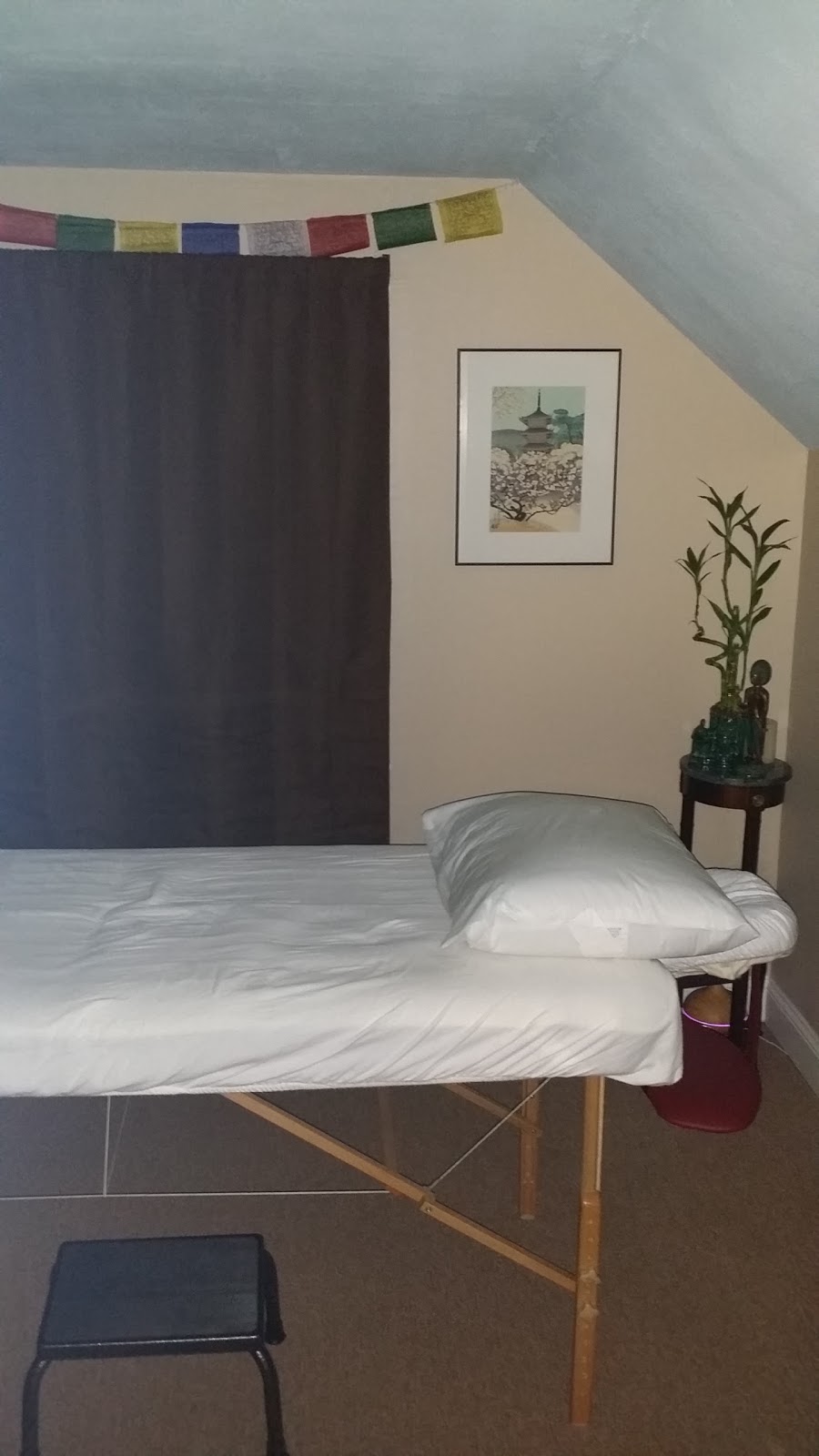 Clear River Acupuncture | within Lincroft Chiropractic, 641 Newman Springs Rd, Lincroft, NJ 07738, USA | Phone: (732) 933-4446