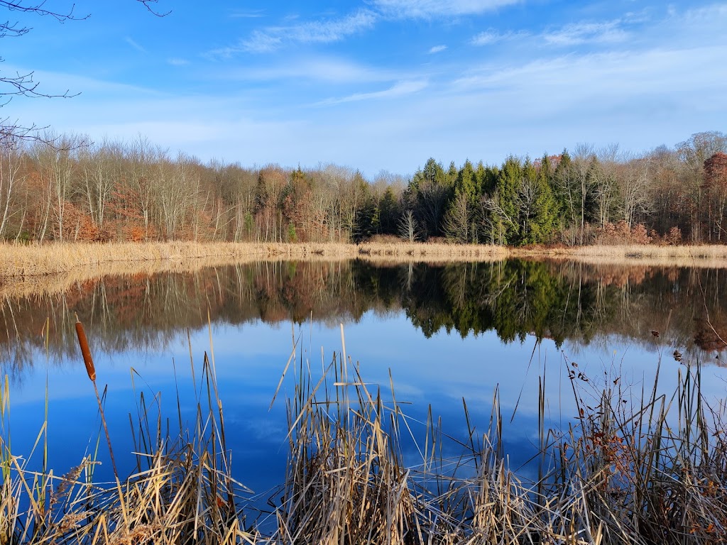 Muscoot Reservoir Recreation Area | NY-100, Somers, NY 10589, USA | Phone: (914) 995-2000