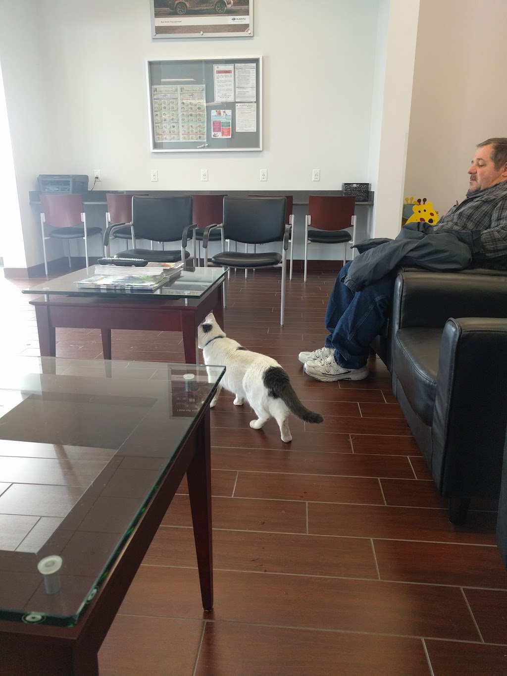 Capitaland Subaru | 47 Saratoga Rd, Schenectady, NY 12302, USA | Phone: (518) 399-9999