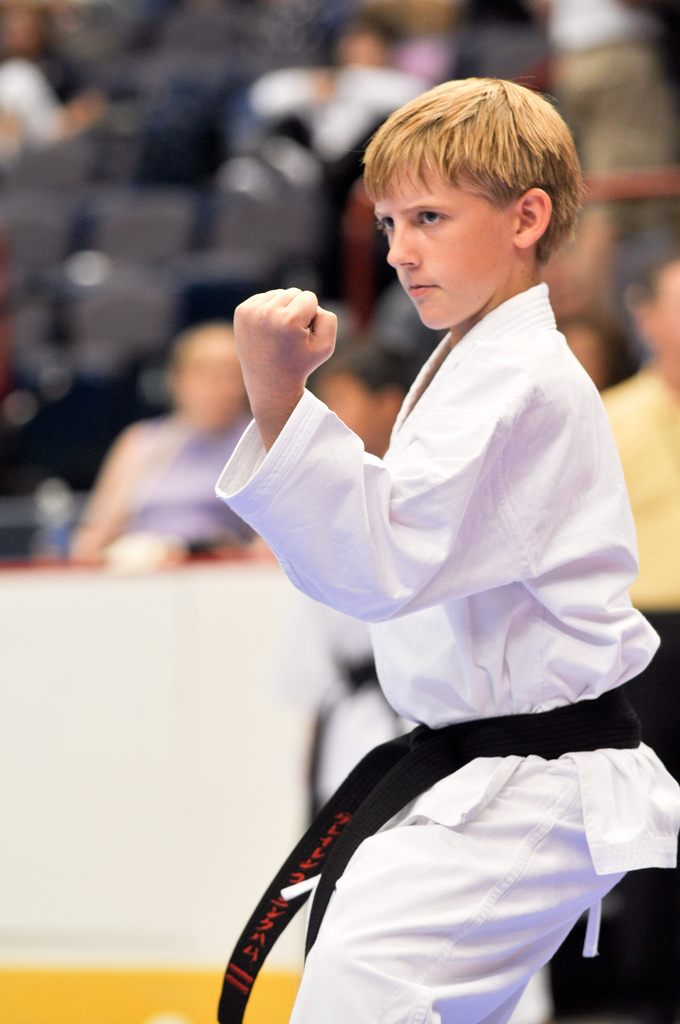 Adamsons Karate Studio | 1217 W Oak St, Zionsville, IN 46077, USA | Phone: (317) 733-8101