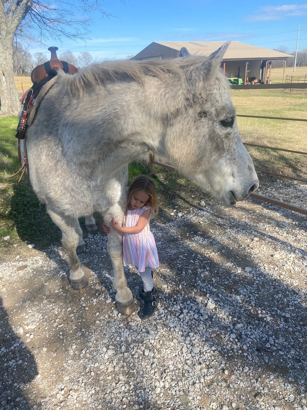 Sweetinfit Horsemanship | 8948 FM1827, Anna, TX 75409 | Phone: (214) 491-8635