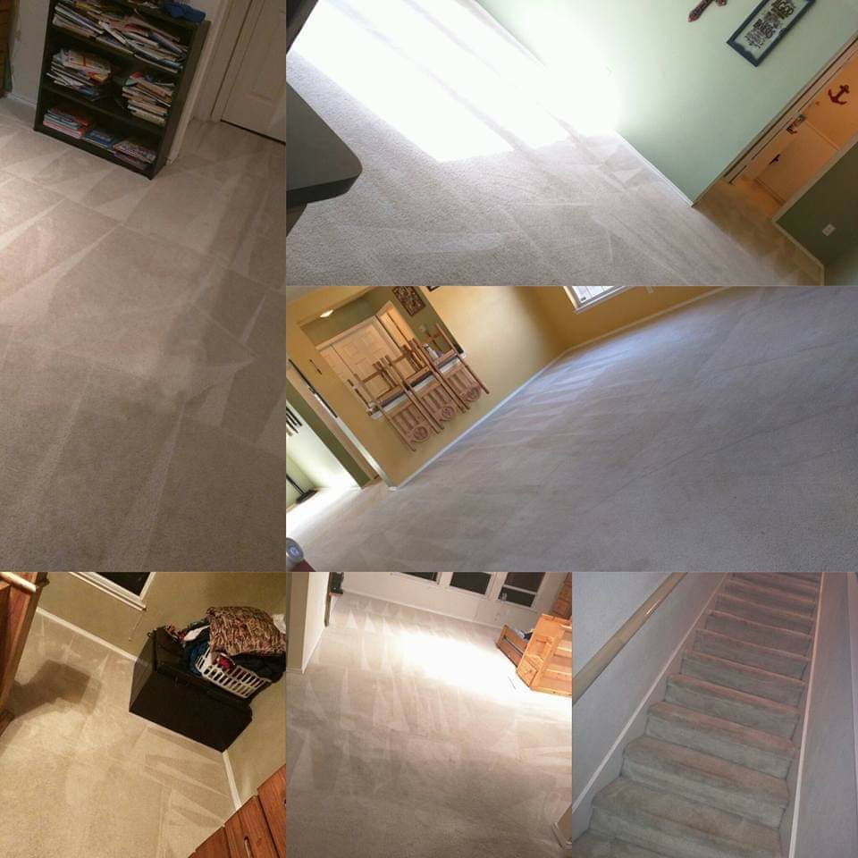 The Carpet Whisperer | 603 Fairview Dr, Richardson, TX 75081, USA | Phone: (972) 863-9714