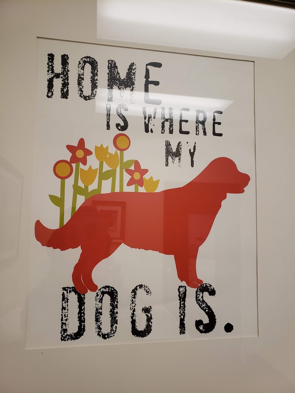 Chickahominy Animal Hospital | 8250 Pocahontas Trail, Providence Forge, VA 23140, USA | Phone: (804) 966-1300