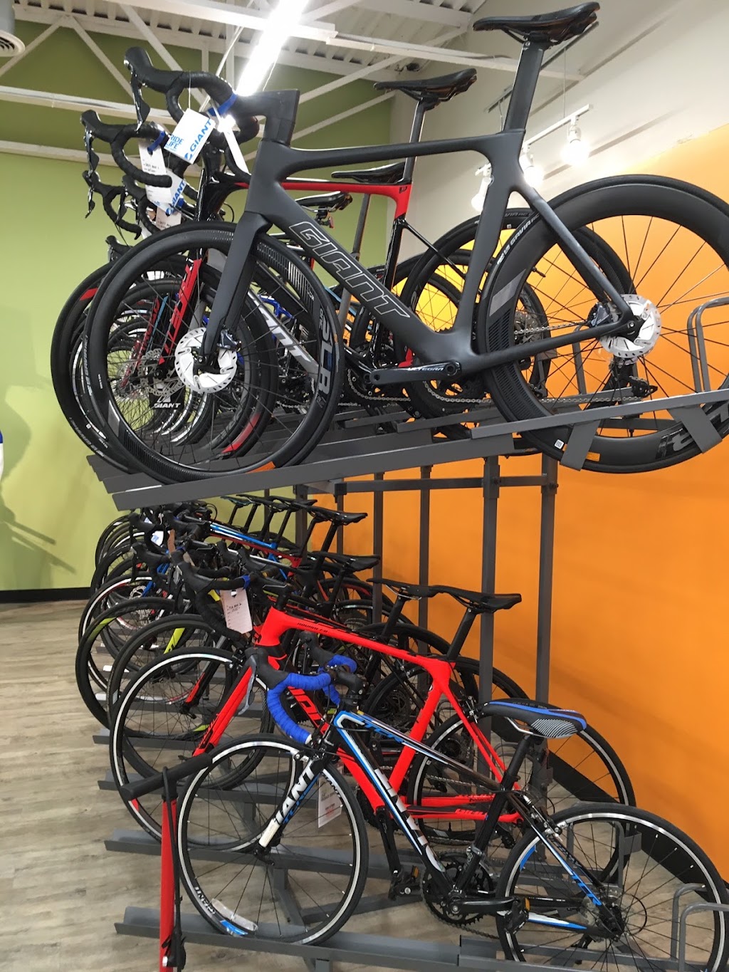 B3 Bicycles - Giant Howell | 6527 US-9, Howell Township, NJ 07731, USA | Phone: (732) 987-6267