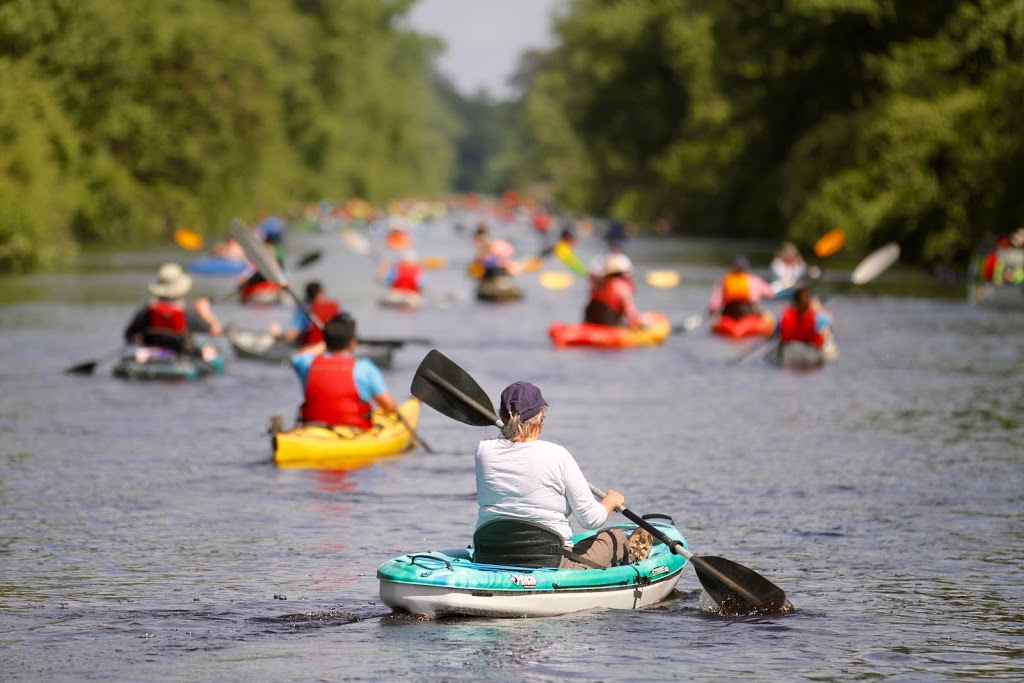 Dismal Swamp Canal Welcome Center | 2356 US-17, South Mills, NC 27976, USA | Phone: (252) 771-8333