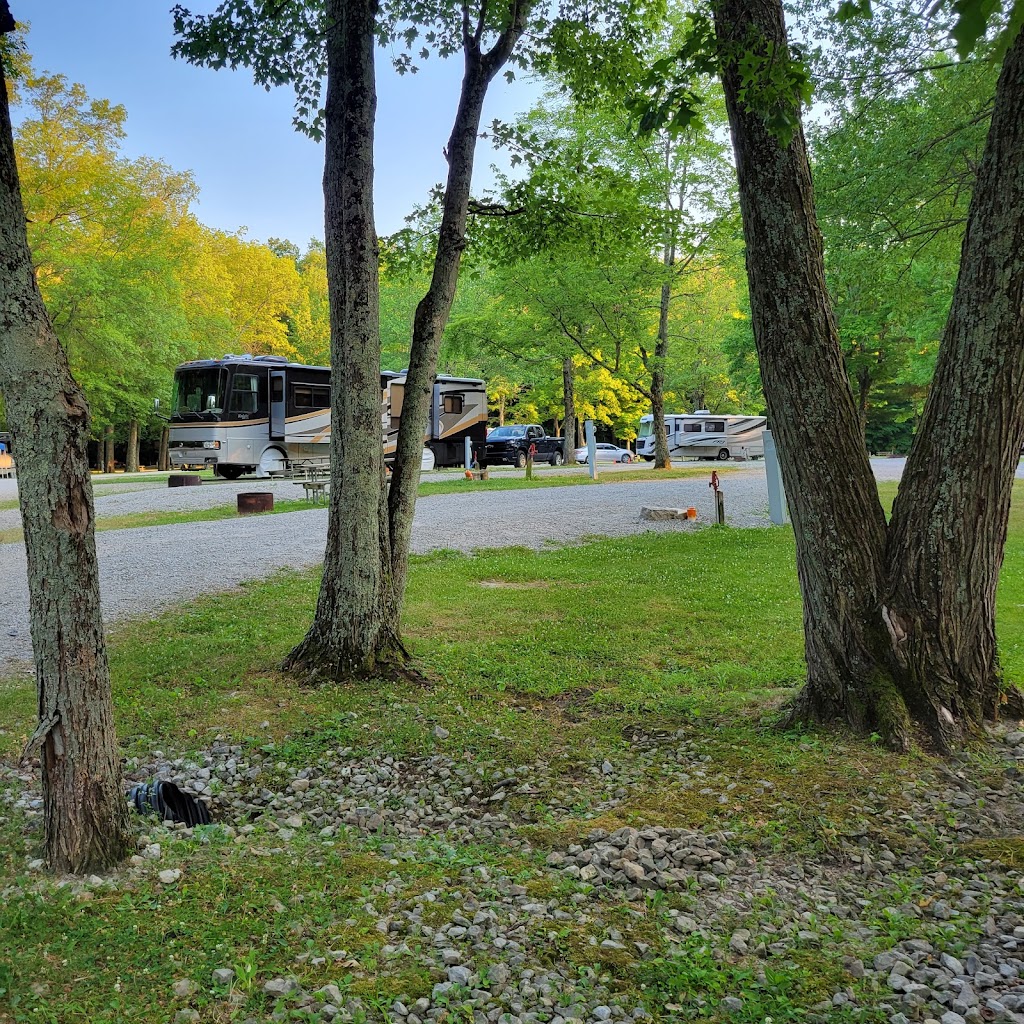 Olive Branch Campground | 6985 Wilmington Rd, Oregonia, OH 45054, USA | Phone: (513) 951-3245