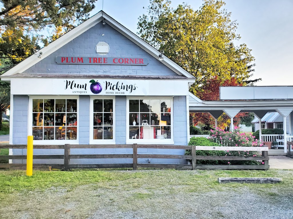 Plum Pickings | 1037 Broad St Rd, Manakin-Sabot, VA 23103, USA | Phone: (804) 347-2566